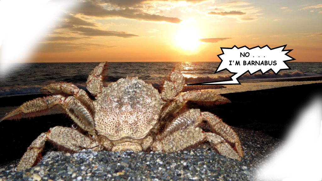 A crab named barnabus sits on the beach and hails the sunset